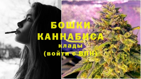 apvp Белокуриха
