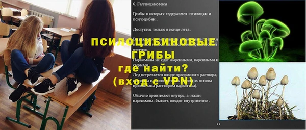 apvp Белокуриха