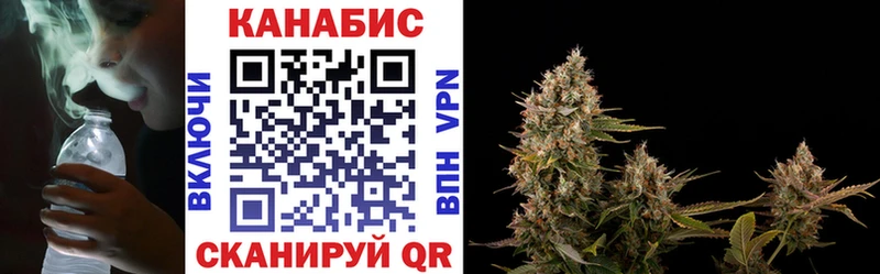 Марихуана сатива  наркошоп  Будённовск 